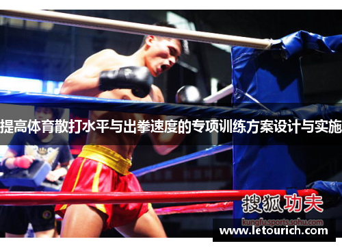 提高体育散打水平与出拳速度的专项训练方案设计与实施